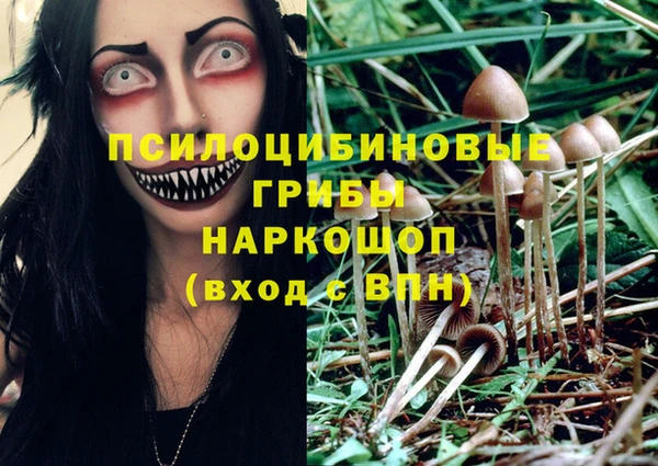 трава Новодвинск