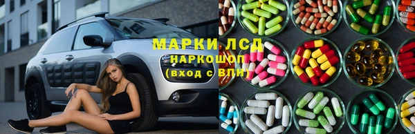 твердый Новокубанск