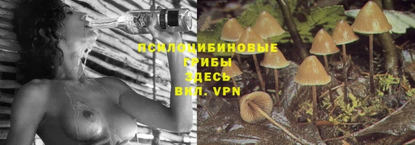 трава Новодвинск