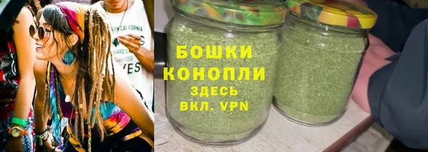 трава Новодвинск