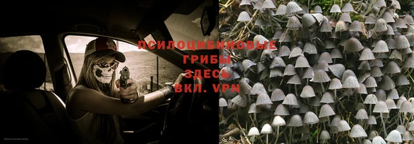 трава Новодвинск