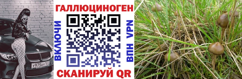 Псилоцибиновые грибы Psilocybine cubensis  наркотики  Чита 