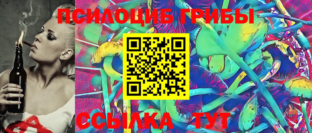 Чита  даркнет сайт  Вход с VPN  Псилоцибиновые грибы Psilocybine cubensis 